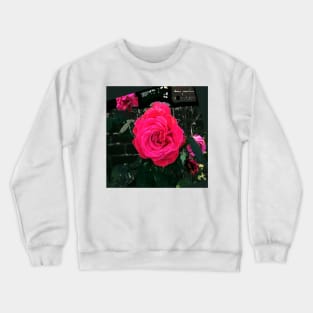 The big red rose Crewneck Sweatshirt